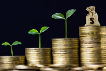 Money savings, investment, making money for future, financial wealth management concept. A plant growing on rising stacked coins and money bag. Depicts fund growth and wealth.