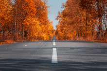Empty Asphalt Road In Autumn Forest. Autumnal Background