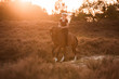 Reiterin galoppiert im Sonnenuntergang mit ihrem Pferd durch die Heide