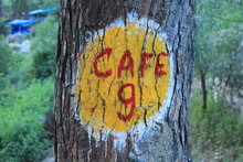 Sign Of Cafe On Tree