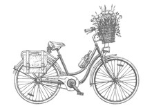 Сity Bicycle With Flowers