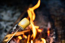 Roasted Marshmallow On Fire