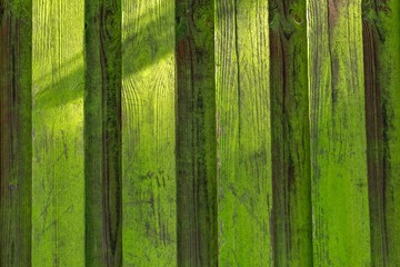 Wall Mural - verwitterter Lattenzaun, Struktur 