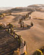 Aerial drone landscape of famous Tuscany hills, Italy. Abstract view of curved serpentine road with cypress alley. Empty agricultural fields in autumn in golden orange colours. San Quirico d'Orcia.