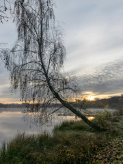 Wall Mural - landscape with sunrise, mist over lake, blurred background, silhouette of trees in the foreground