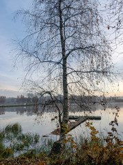 Wall Mural - landscape with sunrise, mist over lake, blurred background, silhouette of trees in the foreground