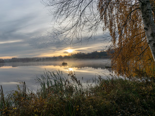 Wall Mural - early autumn morning, white mist over water and ground, beautifully colored and blurred tree silhouettes in the background