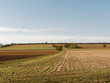 © Marc - Paysage de la plaine de la grande Limagne en Auvergne, en automne,  entre Gannat en Allier et Riom dans le Puy-de-Dôme avec la chaine des Puys à l'horizon
