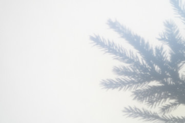shadow from a christmas tree branch on a white-gray background of a textured surface of a wall or ta