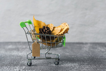 Green small toy shopping cart with birch leaves, cone on a concrete wall background. Price label note with rope for text. Autumn Concept.