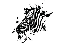 Zebra Isolated On White Background. Vector Grunge Illustration Design Template.