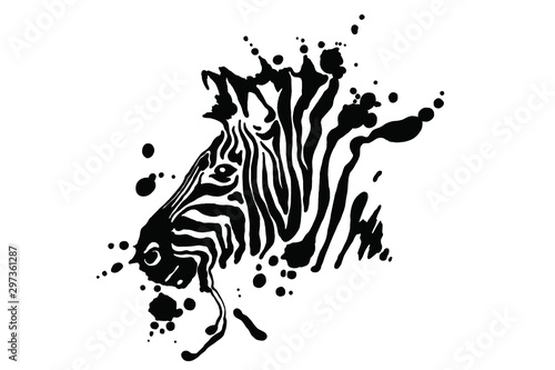 Fotografía Zebra isolated on white background