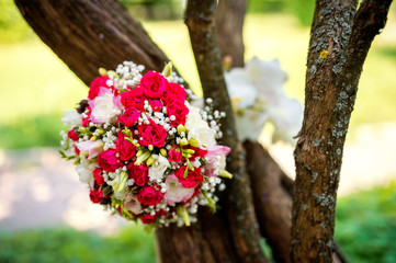 Wall Mural - Wedding flowers concept. Bride's bouquet on a tree background. Bright colors. Closeup.