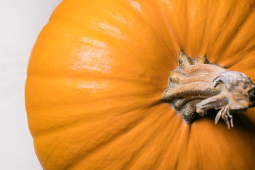 Poster - top view of large pumpkin