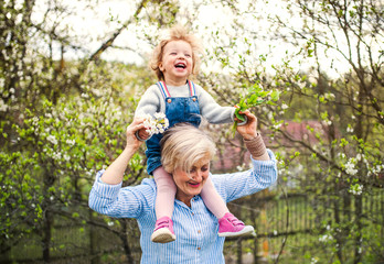 Wall Mural - Senior grandmother with toddler granddaughter standing in nature in spring.