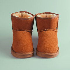 Wall Mural - winter brown women boots