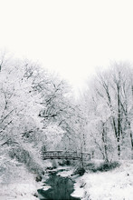 Bridge On Stream With Snow Covered Trees