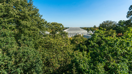 Greenhouse botanical gardens in spring.