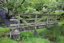 Wooden Bridge In The Forest Yorkshire Dales