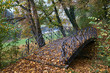 Footbridge with a metal barrier in a park in autumn in Poland.