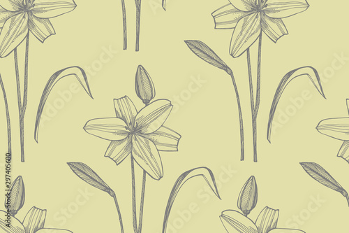 Lily flowers. Botanical illustration. Good for cosmetics, medicine, treating,...