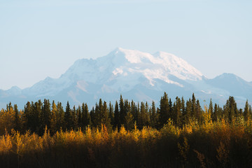 Beautiful fall / autumn color of trees and mountains in remote Alaska