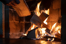 Hands Put Firewood In A Kindled Fireplace On A Cold Winter Day. Warmth And Comfort In The House.