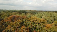 View Above The Autumn Forest At The Kaapsen Bossen In Doorn, The Netherlands