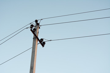 power lines against a clear sky