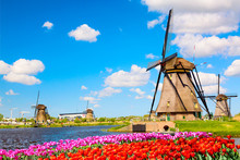 Colorful Spring Landscape In Netherlands, Europe. Famous Windmills In Kinderdijk Village With A Tulips Flowers Flowerbed In Holland. Famous Tourist Attraction In Holland