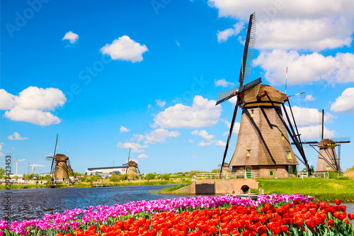 Cuadros en Lienzo Colorful spring landscape in Netherlands, Europe