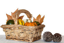 Assortment Of Pumpkins In Basket And Cone Pines On White Wooden Table