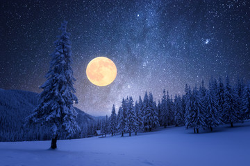 winter night with starry sky and full moon