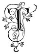 © Morphart - Decorative Letter T, vintage illustration