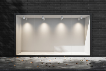 Empty lighted showcase in the daytime. Empty space for advertising. Mock up. 3d rendering