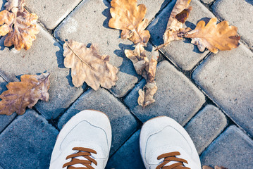 sport shoes sneakers on the background of dry yellow leaves on the sidewalk in autumn fall on a sunny day.