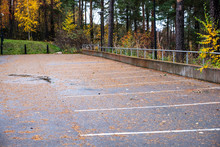 Car Parking In The Autumn Park. Marking Up Parking Spaces For Cars. Autumn, Yellow Foliage On The Road