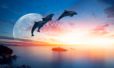 Aufkleber - Silhoutte of beautiful dolphin jumping up from the sea at sunset with super moon 