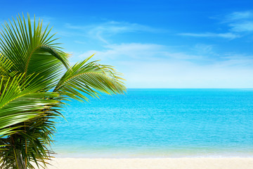 Wall Mural - Beautiful white sand beach, blue sea water, clouds background, green palm tree leaves close up, vacation on exotic tropical paradise island concept, hot summer holiday relax, travel banner, copy space