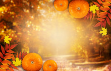 Thanksgiving Day Autumn Festive Card With Pumpkins, Fall Autumnal Leaves And White Photo Frame On Background Of Blurred Trees In Park, Empty Place For Your Text