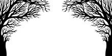 Vector Illustration With Spooky, Bare, Black Trees Isolated On White Background. Halloween Design With Place For Your Text.