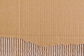 Wall Mural - Top view closeup  corrugated striped brown sheet of cardboard with a piece of paper torn from below. Abstract trendy modern texture background