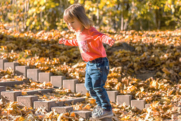 little girl in autumn park, kids active games, place for text