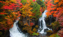 日光竜頭の滝（日本）の鮮やかな紅葉