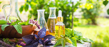 Oil For Skin Care, Massage From Natural Ingredients, Herbs, Mint In Glass Jars And Test Tubes On A Green Background In The Garden On The Nature, Natural Cosmetics