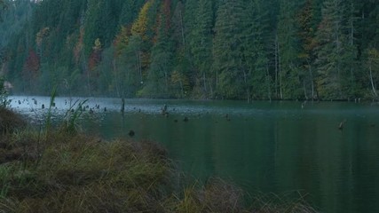 Wall Mural - Cold autumn morning on mountain lake. Fog and mist on the surface of the lake