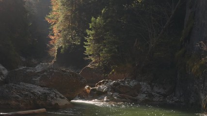 Wall Mural - Magic morning light inside forest. Light over falling river inside mountains. Autumn colors and morning