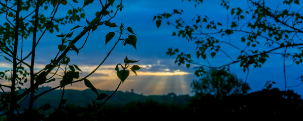 Wall Mural - Rising sun lights up landscape through gap in clouds