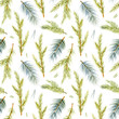 Watercolor pattern of Christmas-tree branch and prickles. Hand-drawn illustration on the white background