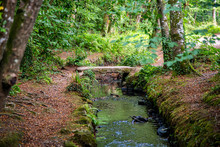 A Small Stone Bridge Over A Stream In Cornish Woodland